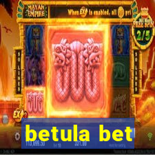 betula bet